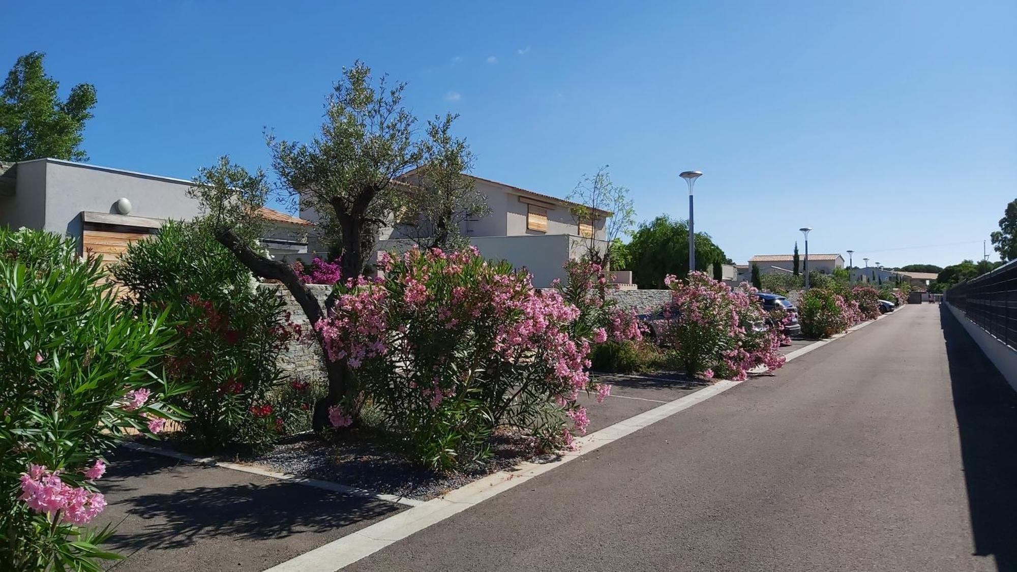 Villa Home Holiday A Cala Rossa Lecci Exteriér fotografie